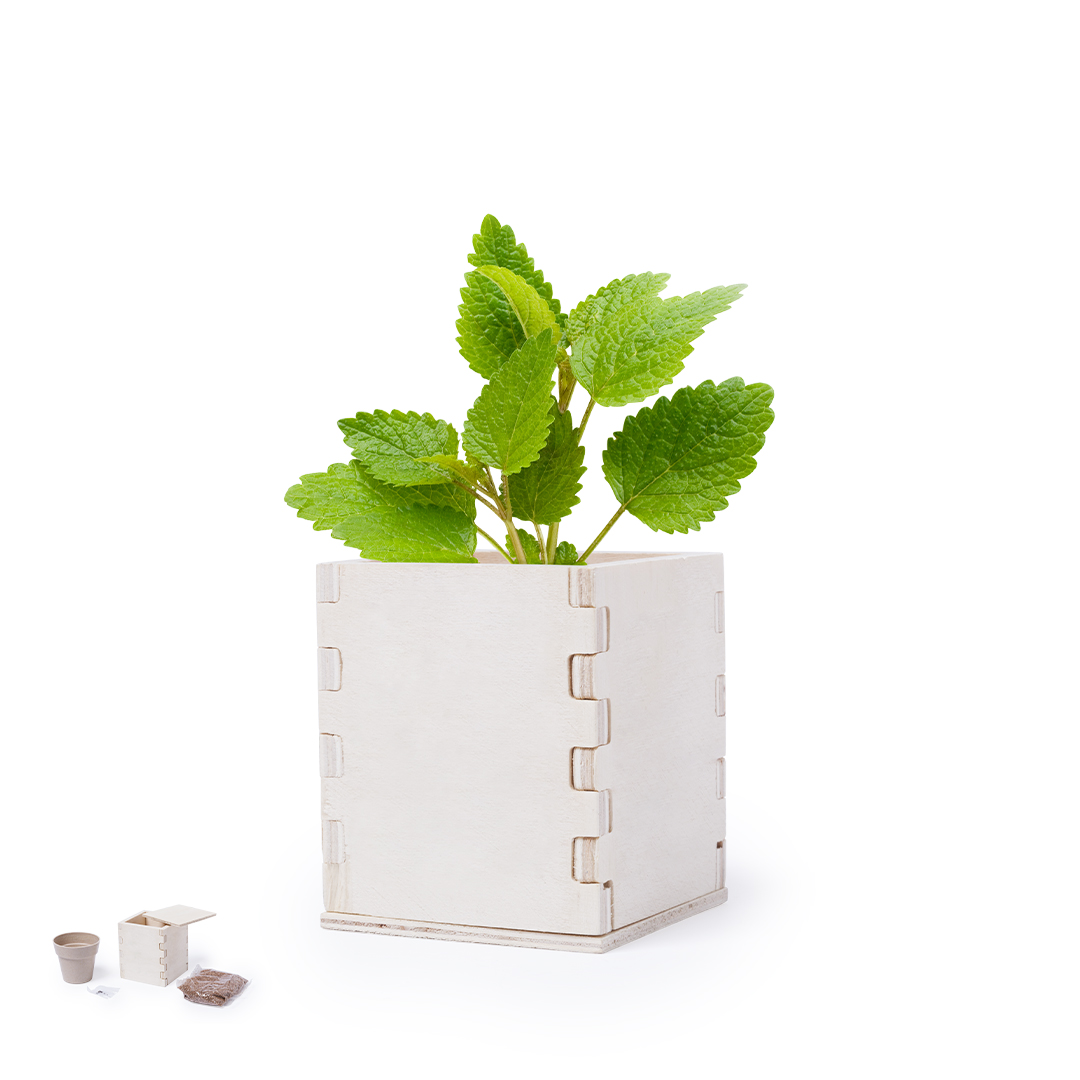Maceta Merin personalizado para empresas