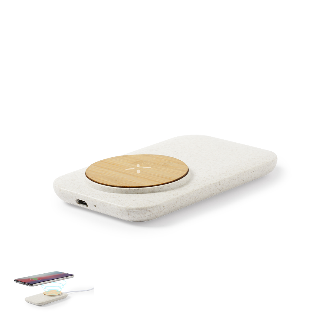 Cargador Claudix personalizado para empresas